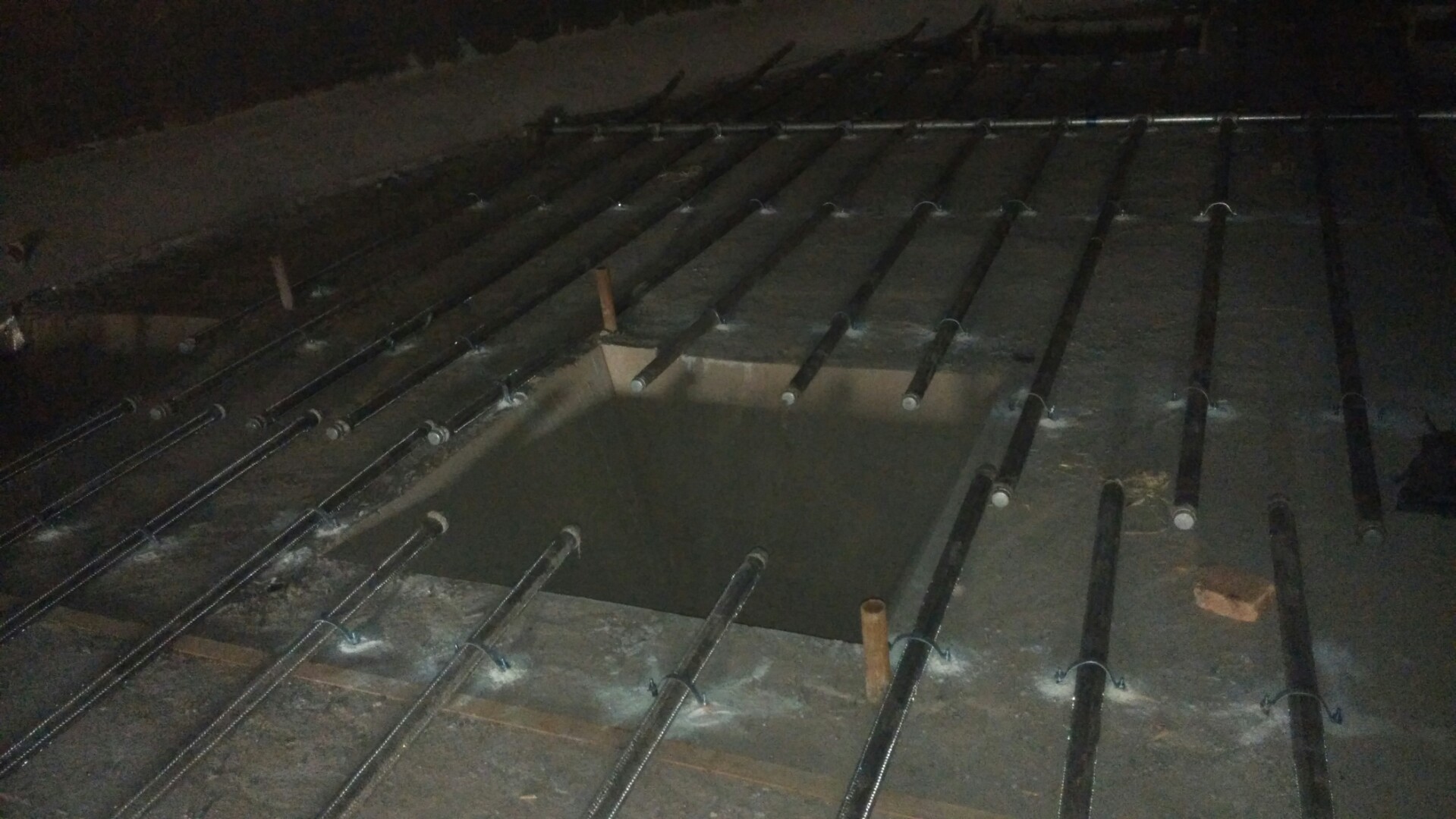 兴隆华侨农场流化棒