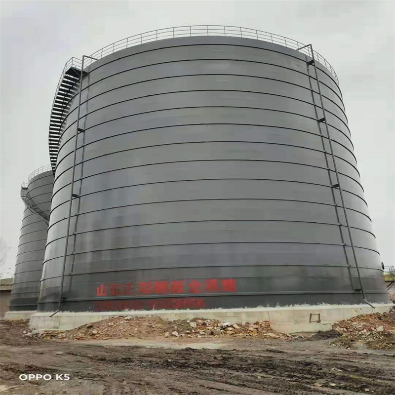 兴隆华侨农场3万吨大型钢板库