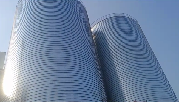 兴隆华侨农场2座混凝土高架卷板仓